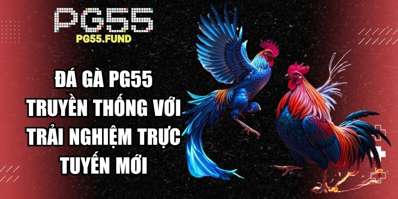 Đá gà tại PG55 là bộ môn truyền thống với trải nghiệm trực tuyến mới